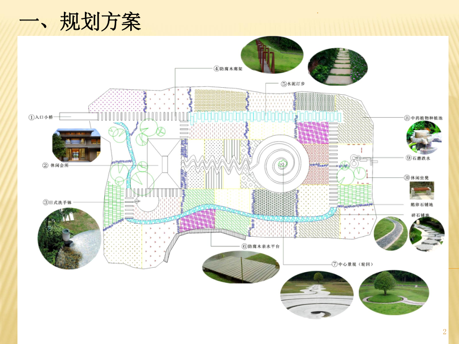 中药种植园景观规划课件.pptx_第2页