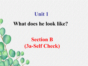 鲁教版七上Unit1-What-does-he-look-like-(3aSelf-Check)课件.ppt