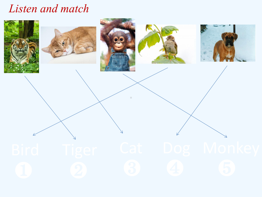 五年级英语上册Unit2AnimalsLesson3课件北师大版三起.ppt_第2页