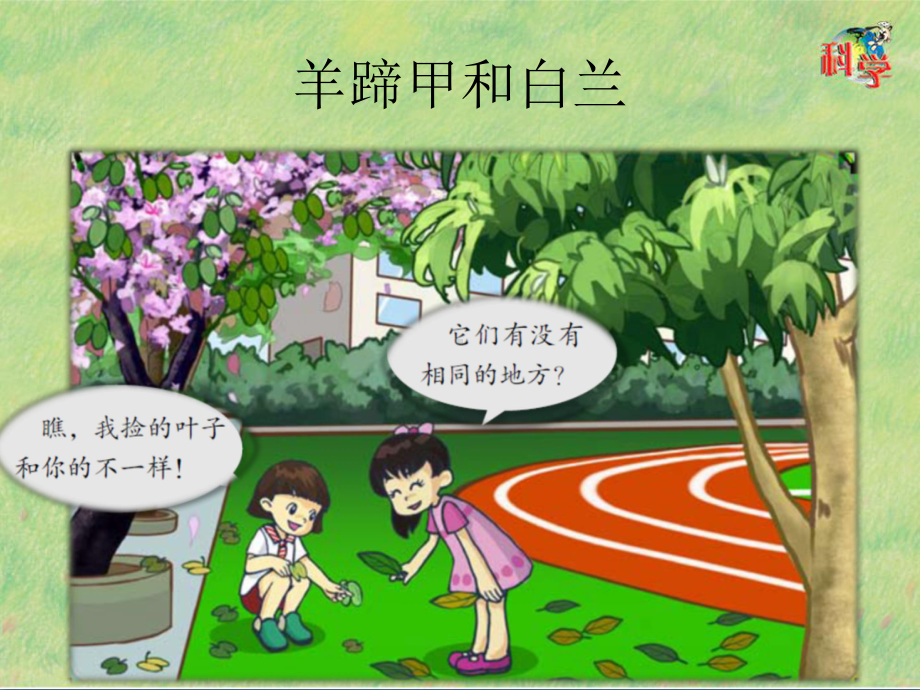 《植物的叶》教学课件粤教版小学1.pptx_第2页