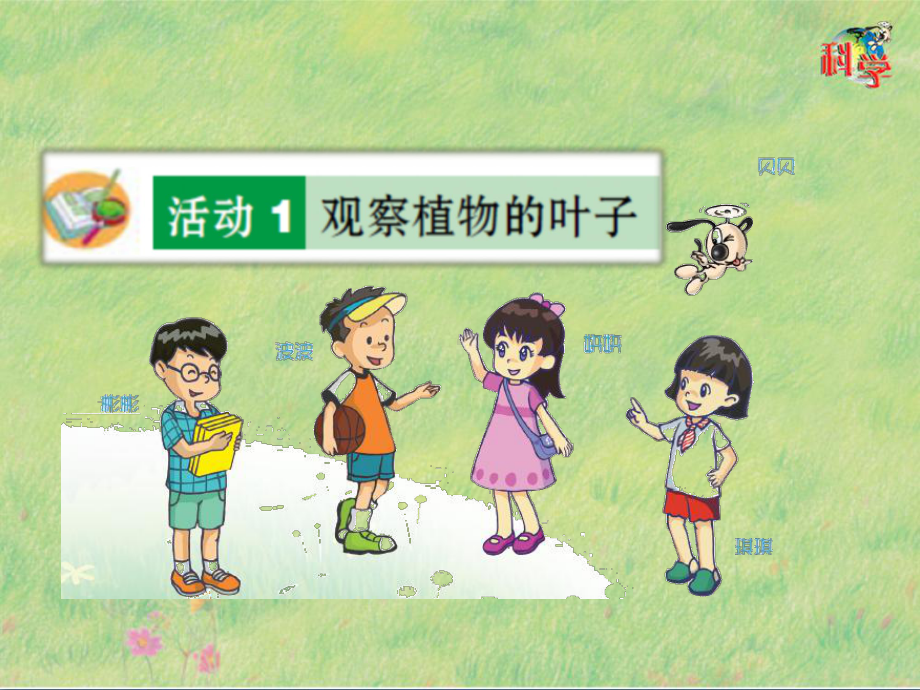 《植物的叶》教学课件粤教版小学1.pptx_第3页