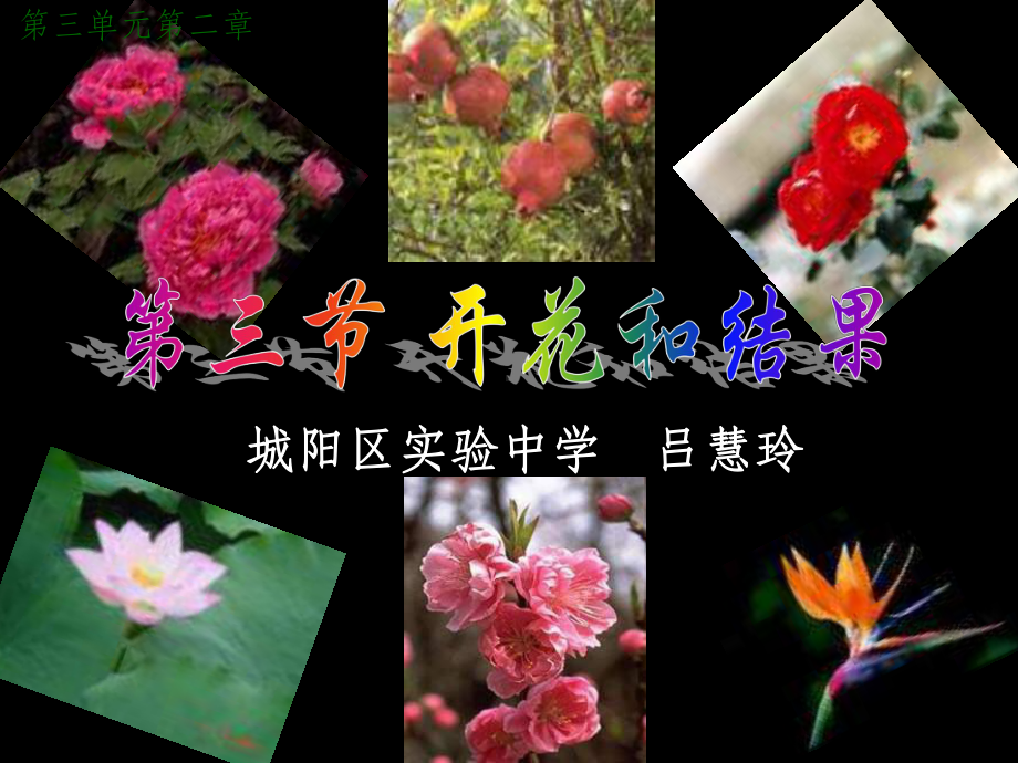 七年级生物开花和结果课件.ppt_第1页