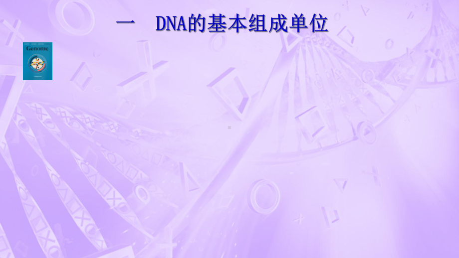 高二生物《DNA分子的结构》高中生物公开课课件.ppt_第1页