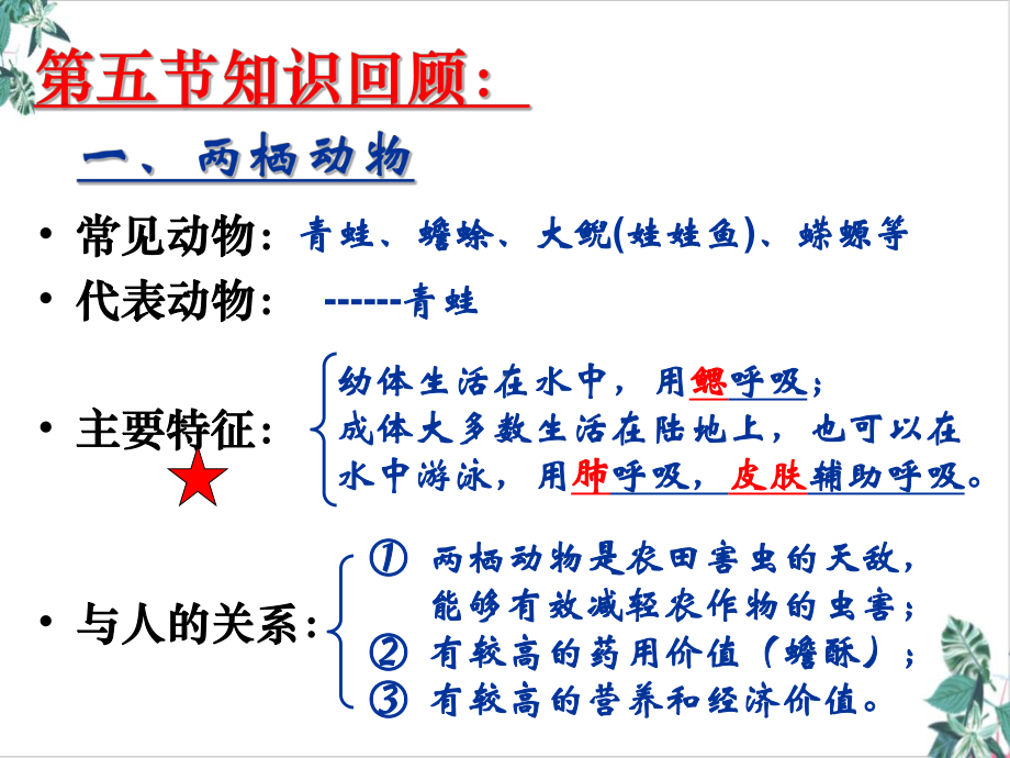 人教版鸟优质课件(精美版)1.ppt_第2页