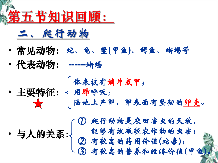 人教版鸟优质课件(精美版)1.ppt_第3页