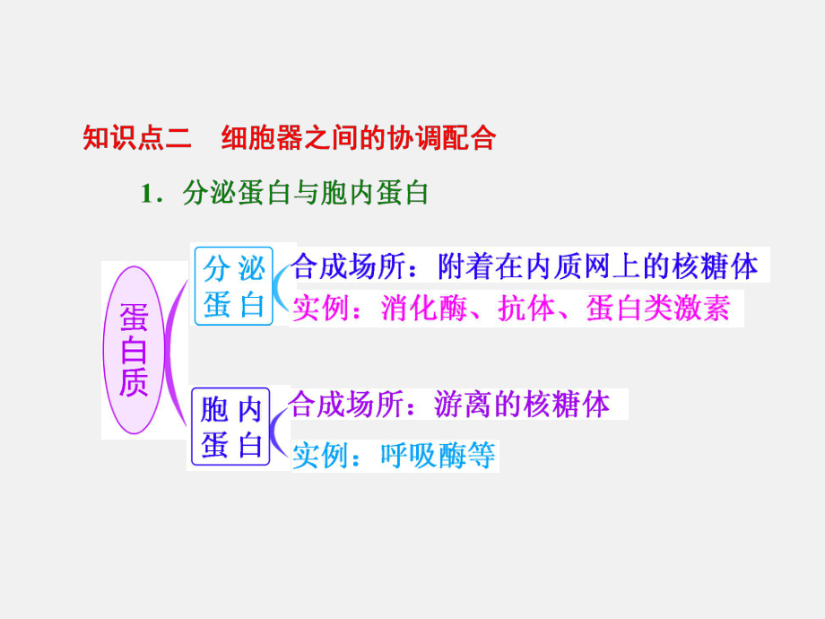 高考生物-一轮复习-第2讲-细胞器-系统内的分工合作-新人教必修1课件.ppt_第3页