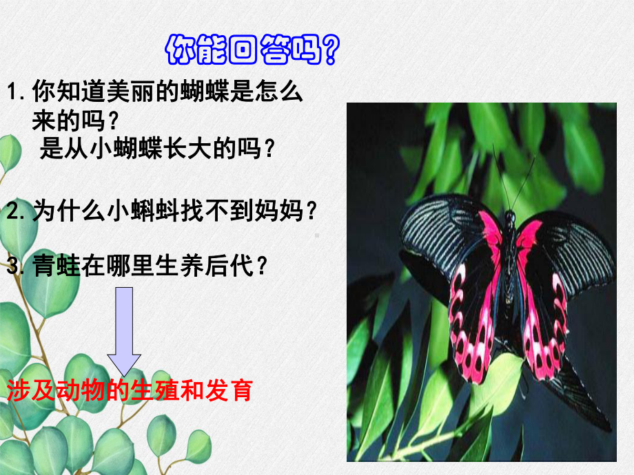 《生物的生殖和发育》课件-(优秀课获奖)2022年北师大版-2.ppt_第3页