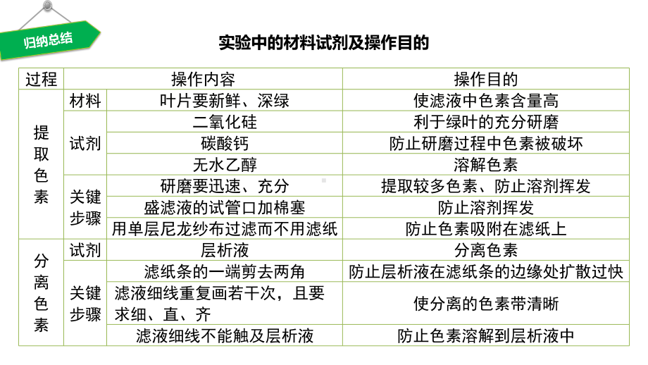 高中生物（光合作用与能量转化）课件.pptx_第1页