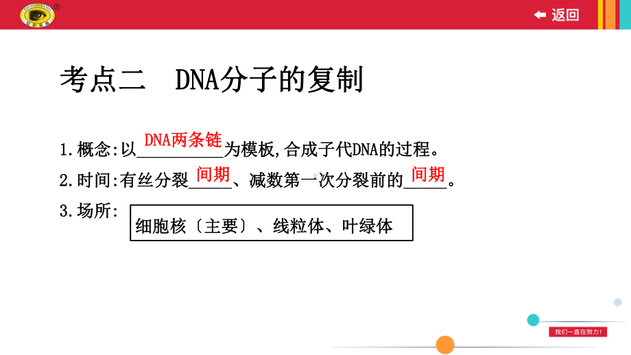 高中生物《DNA分子的复制》优秀课件.pptx_第2页