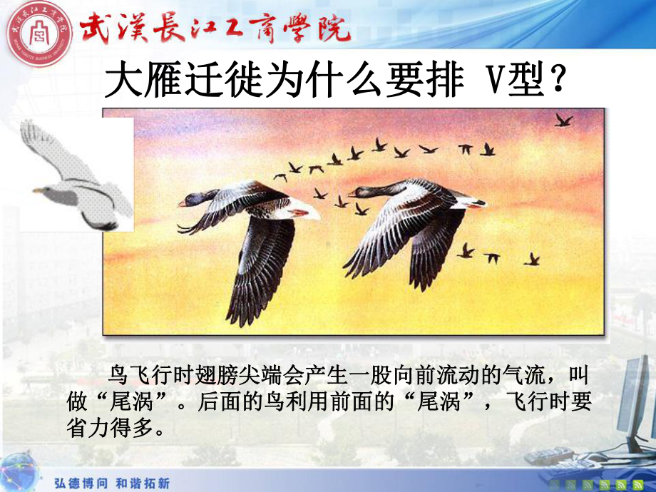 第四章 企业组织管理 .ppt_第3页