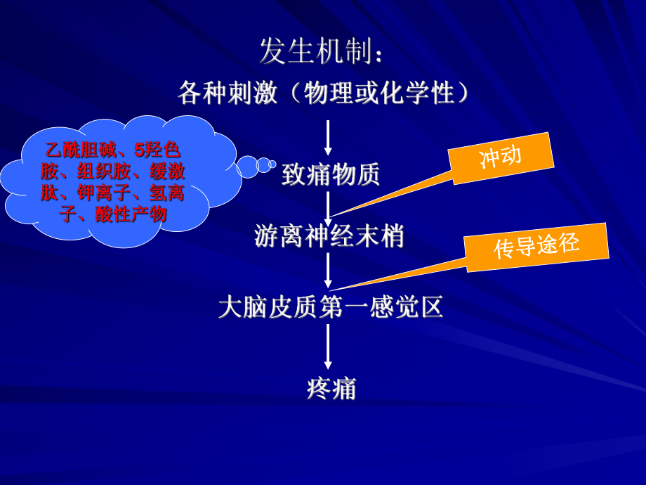 健康评估疼痛(护理专科).ppt_第3页