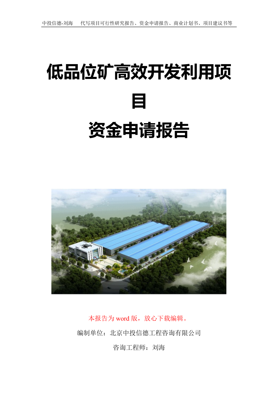 低品位矿高效开发利用项目资金申请报告写作模板定制.doc_第1页