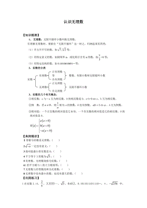 无理数练习题3教案文档.doc