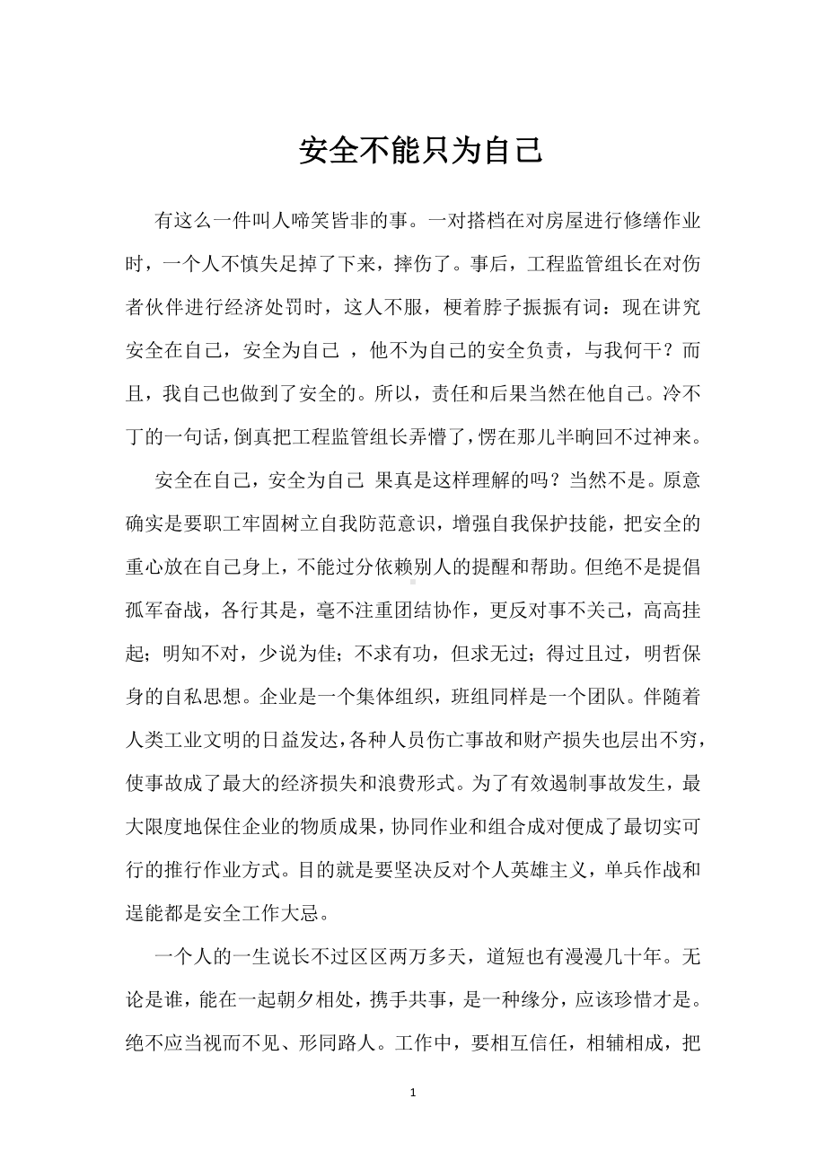 安全不能只为自己模板范本.docx_第1页