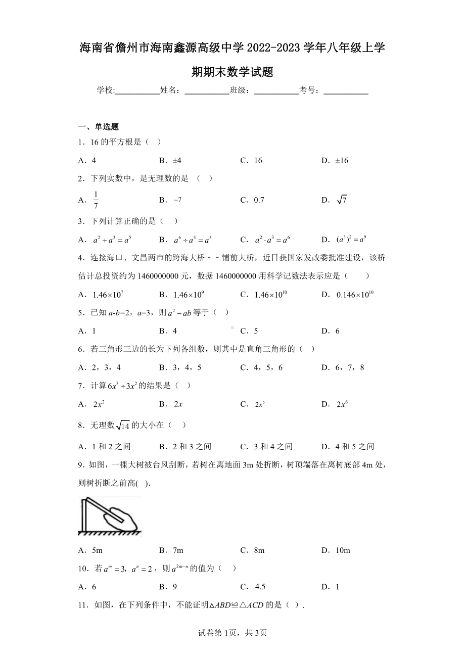 海南省儋州市海南鑫源高级中学2022-2023学年八年级上学期期末数学试题.pdf_第1页