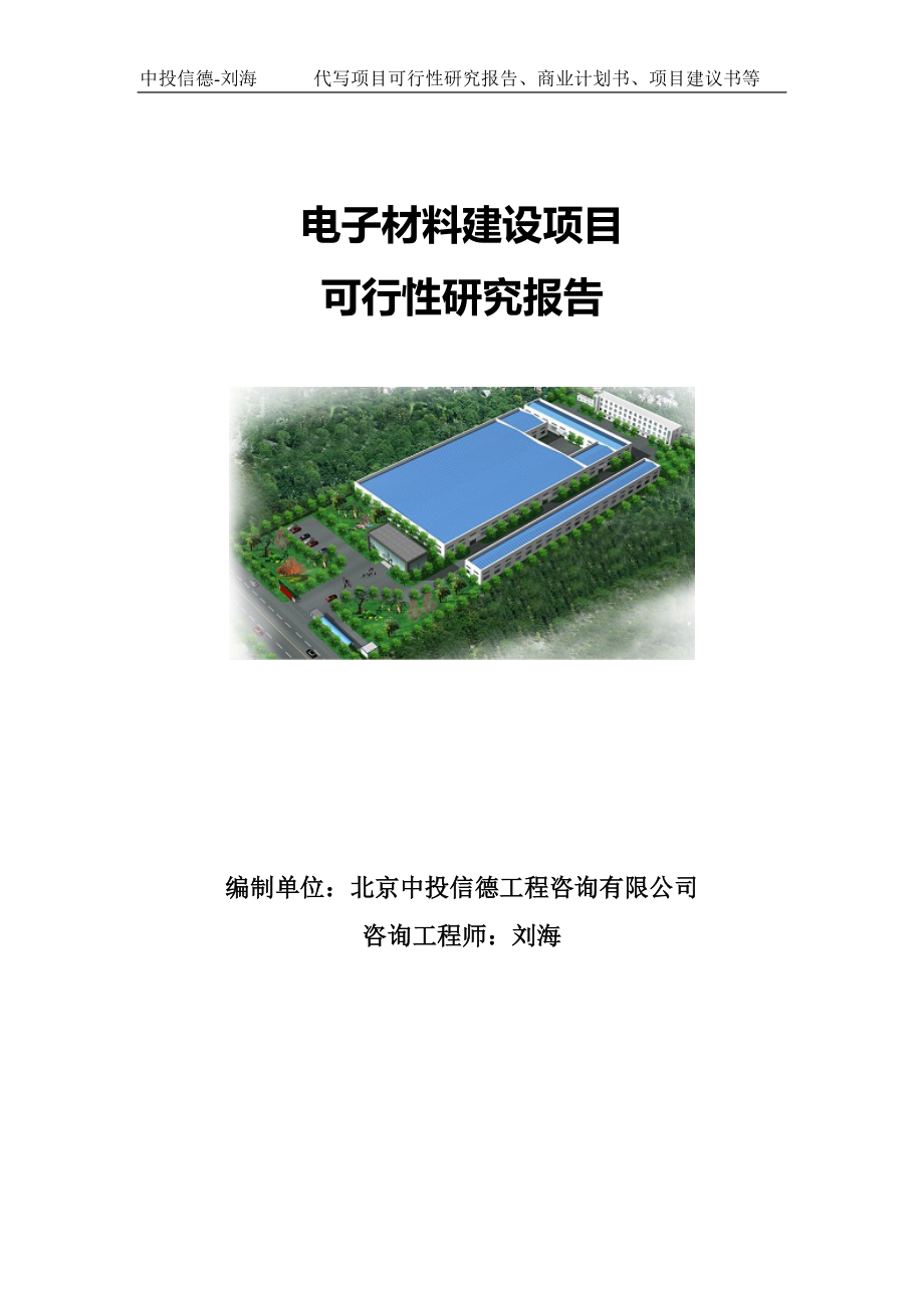 电子材料建设项目可行性研究报告写作模板.doc_第1页