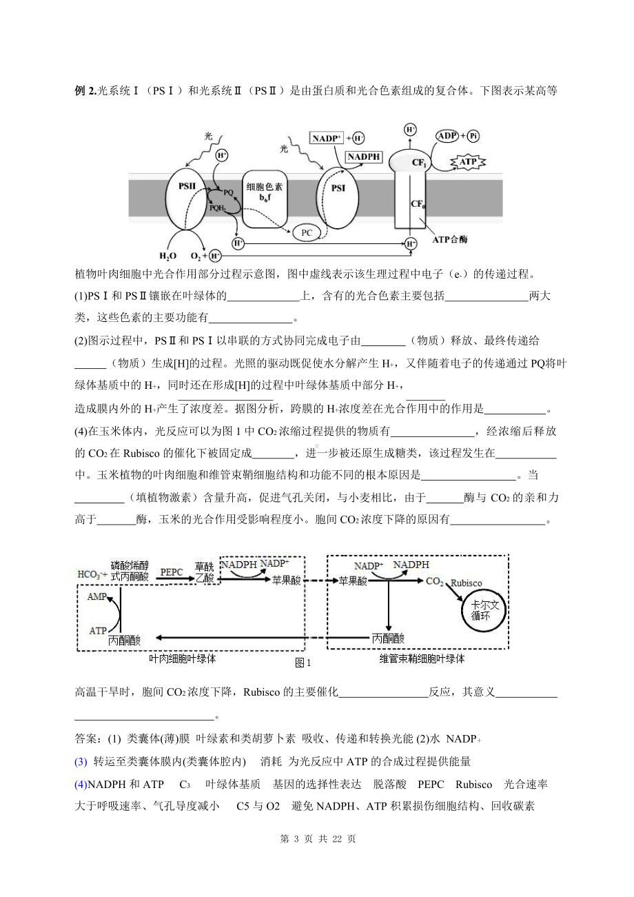 2023 年高考生物最后冲刺10大重要考点汇编（实用必备！）.docx_第3页