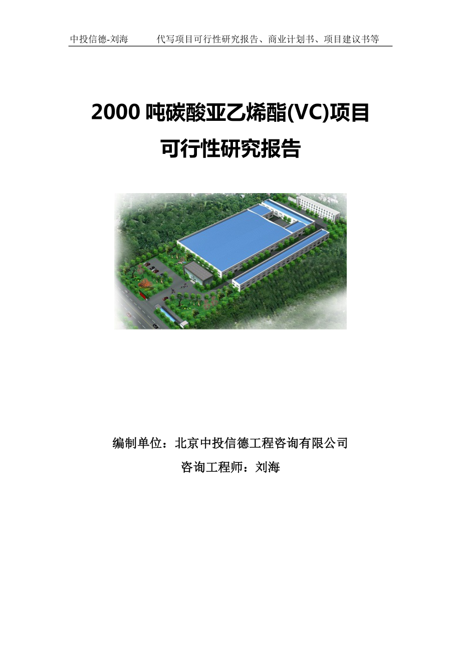 2000吨碳酸亚乙烯酯(VC)项目可行性研究报告写作模板.doc_第1页