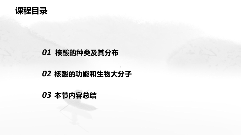 2.5+核酸是遗传信息的携带者 ppt课件-2023新人教版（2019）《高中生物》必修第一册.ppt_第2页