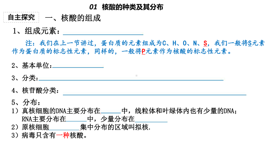 2.5+核酸是遗传信息的携带者 ppt课件-2023新人教版（2019）《高中生物》必修第一册.ppt_第3页