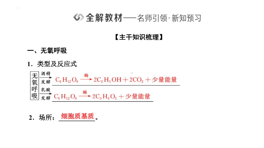 5.3.2 细胞呼吸的原理和应用 ppt课件-2023新人教版（2019）《高中生物》必修第一册.pptx_第2页