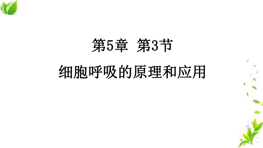 5.3细胞呼吸的原理和应用 ppt课件-2023新人教版（2019）《高中生物》必修第一册.pptx_第2页