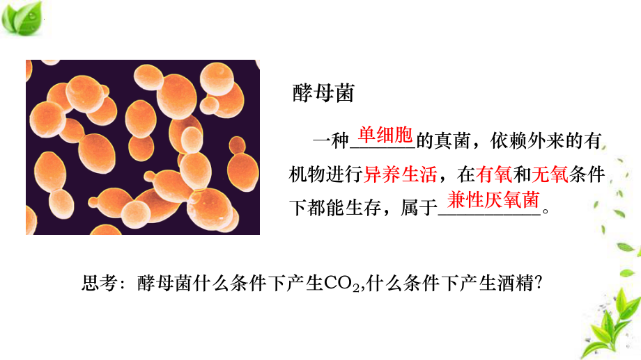 5.3细胞呼吸的原理和应用 ppt课件-2023新人教版（2019）《高中生物》必修第一册.pptx_第3页