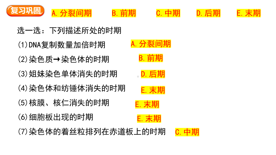 6.1细胞的增殖第二课时 ppt课件-2023新人教版（2019）《高中生物》必修第一册.pptx_第3页