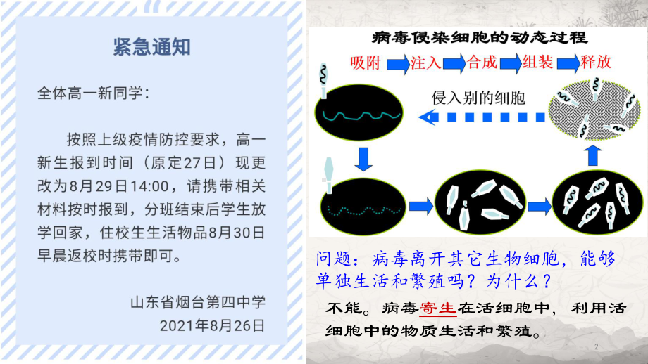 1.1 细胞是生命活动的基本单位 ppt课件-2023新人教版（2019）《高中生物》必修第一册.pptx_第2页