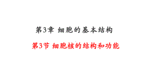 3.3细胞核的结构和功能 ppt课件(20)-2023新人教版（2019）《高中生物》必修第一册.pptx