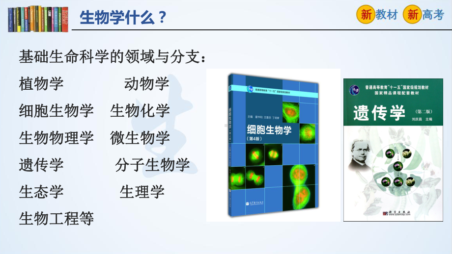 1.1细胞是生命活动的基本单位 ppt课件-2023新人教版（2019）《高中生物》必修第一册.pptx_第2页