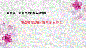 4.2主动运输与胞吞胞吐 ppt课件--2023新人教版（2019）《高中生物》必修第一册.pptx