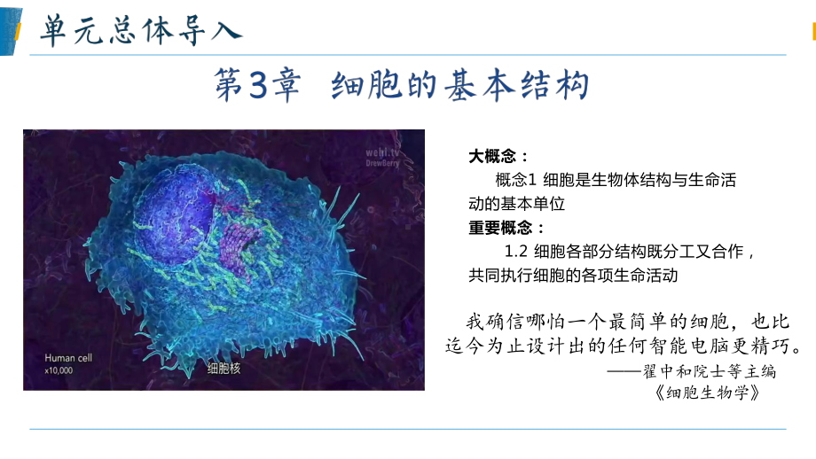 3.1细胞膜的结构和功能 ppt课件-2023新人教版（2019）《高中生物》必修第一册.pptx_第1页