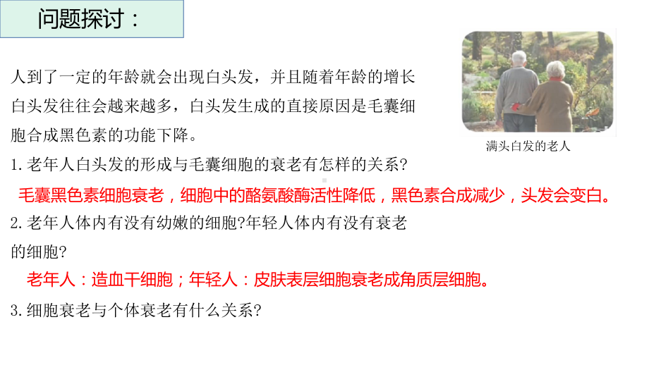 6.3细胞的衰老和死亡 ppt课件--2023新人教版（2019）《高中生物》必修第一册.pptx_第3页