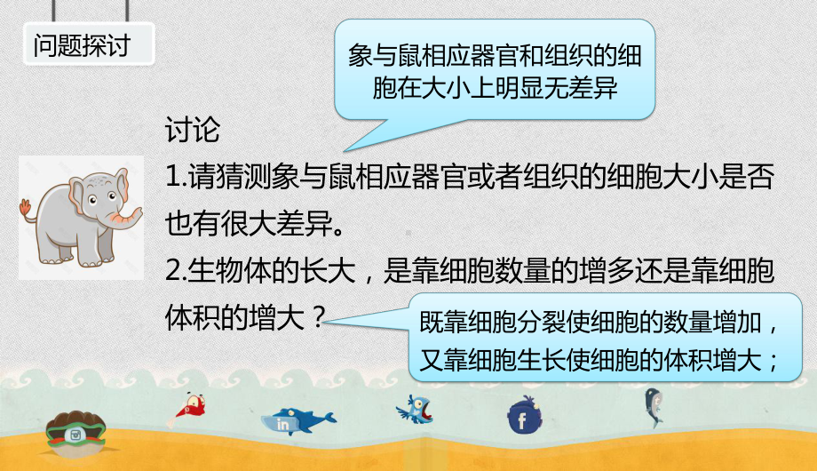 6.1细胞增殖 ppt课件-2023新人教版（2019）《高中生物》必修第一册.pptx_第2页