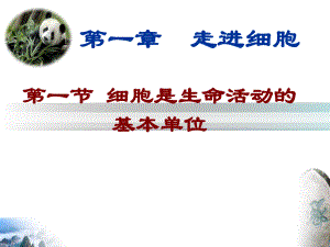 1.1 细胞是生命活动的基本单位 ppt课件--2023新人教版（2019）《高中生物》必修第一册.pptx