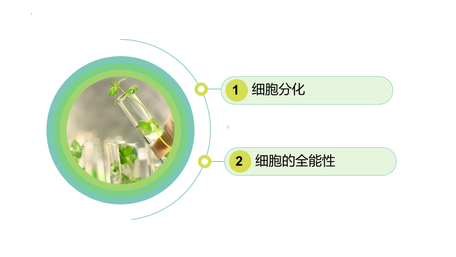 6.2细胞的分化 ppt课件--2023新人教版（2019）《高中生物》必修第一册.pptx_第2页