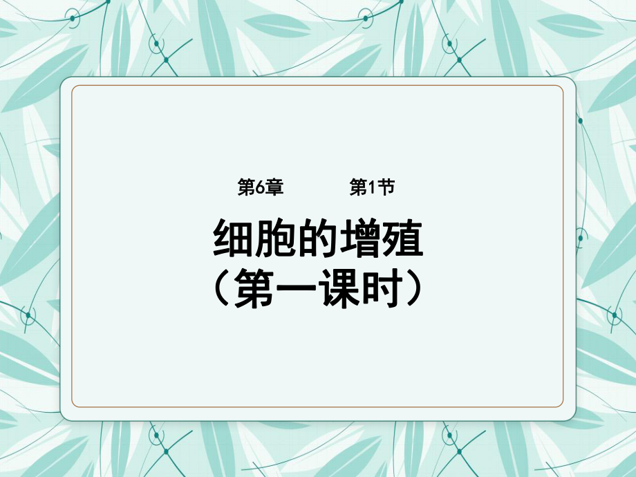 6.1细胞的增殖说课 ppt课件-2023新人教版（2019）《高中生物》必修第一册.pptx_第1页