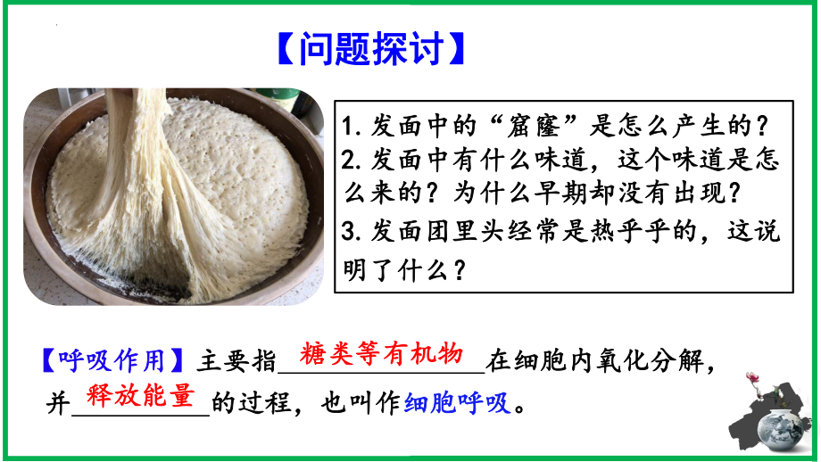 5.3细胞呼吸的原理和应用 ppt课件-2023新人教版（2019）《高中生物》必修第一册.pptx_第2页