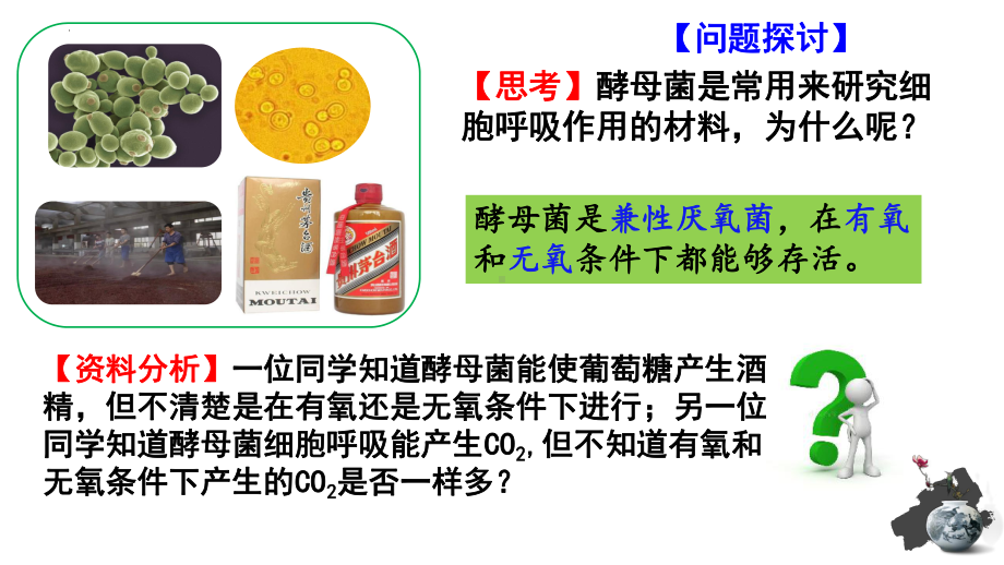 5.3细胞呼吸的原理和应用 ppt课件-2023新人教版（2019）《高中生物》必修第一册.pptx_第3页