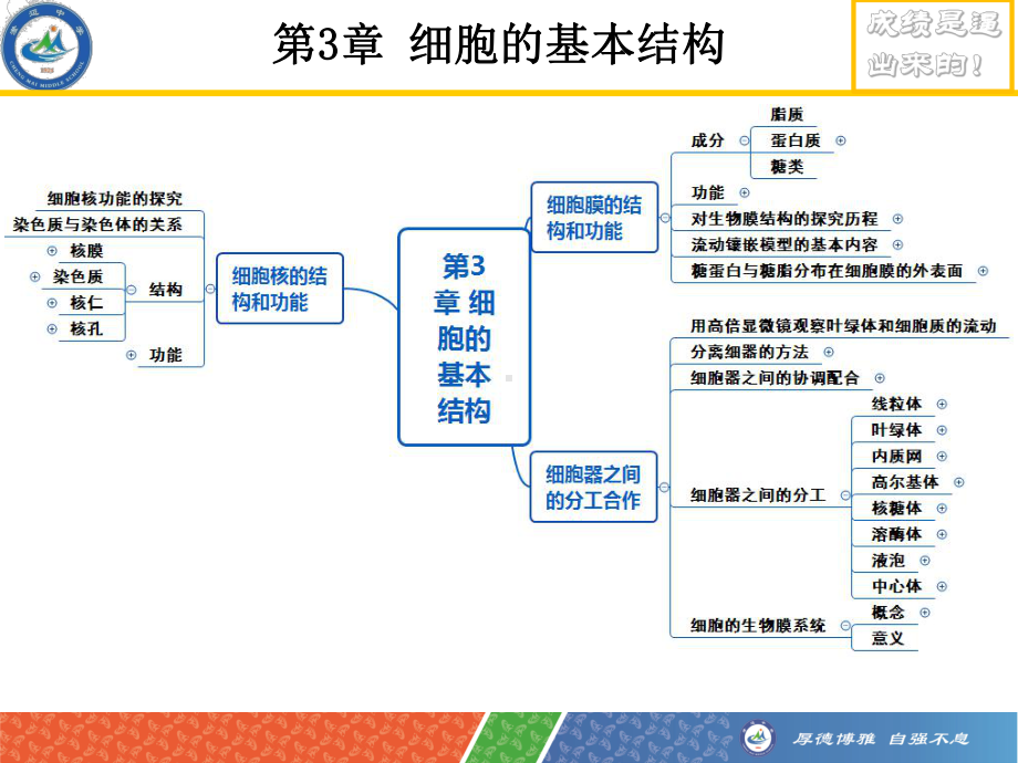 3.1细胞膜的结构和功能 ppt课件-2023新人教版（2019）《高中生物》必修第一册.ppt_第2页