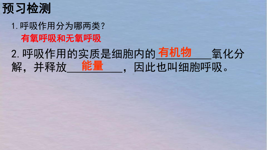 5.3细胞呼吸的原理和应用 ppt课件-2023新人教版（2019）《高中生物》必修第一册.pptx_第3页