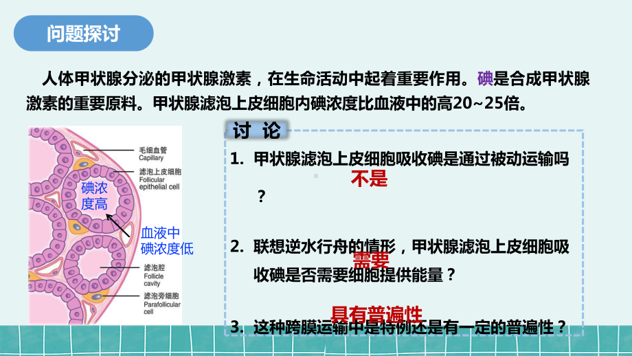 4.2主动运输与胞吞、胞吐 ppt课件--2023新人教版（2019）《高中生物》必修第一册.pptx_第2页