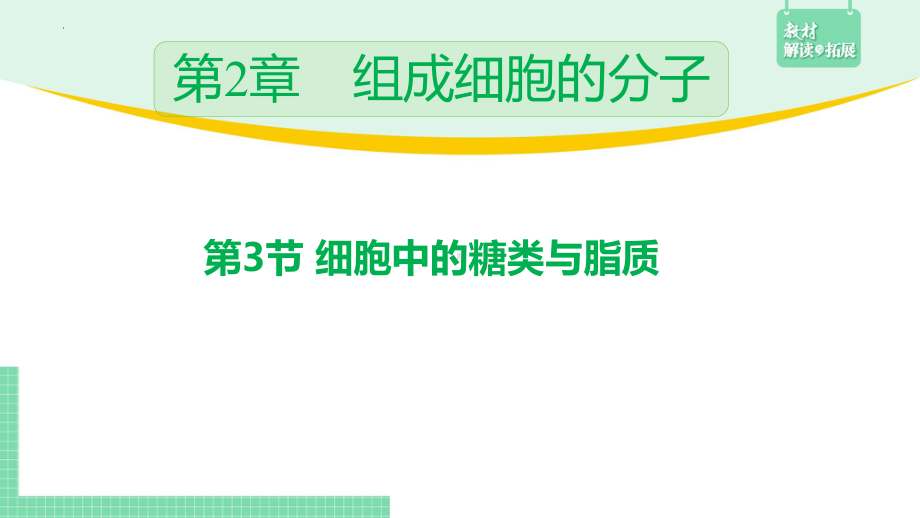 2.3细胞中的糖类和脂质 ppt课件--2023新人教版（2019）《高中生物》必修第一册.pptx_第2页