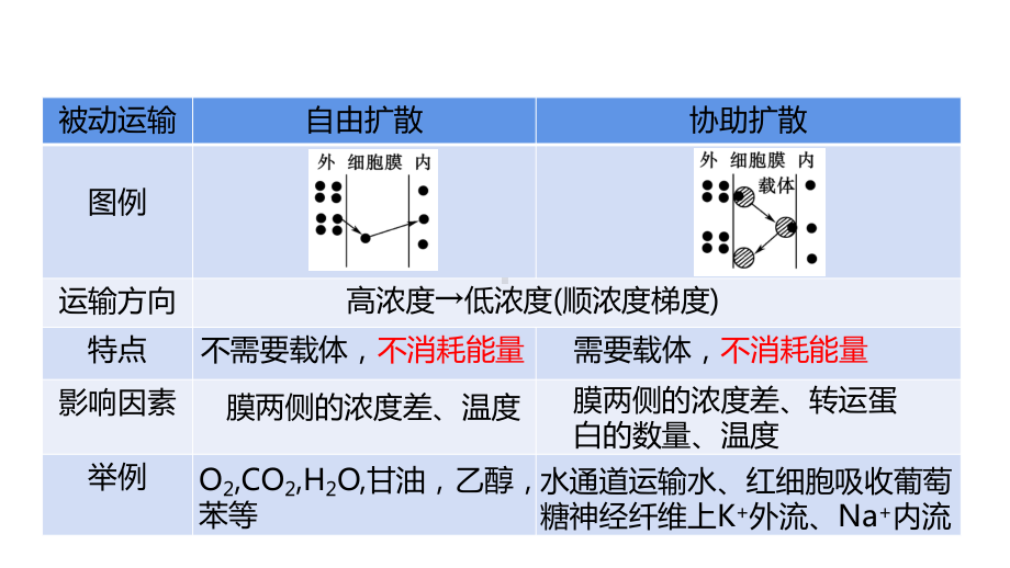 4.2主动运输与胞吞、胞吐 ppt课件-2023新人教版（2019）《高中生物》必修第一册.pptx_第1页