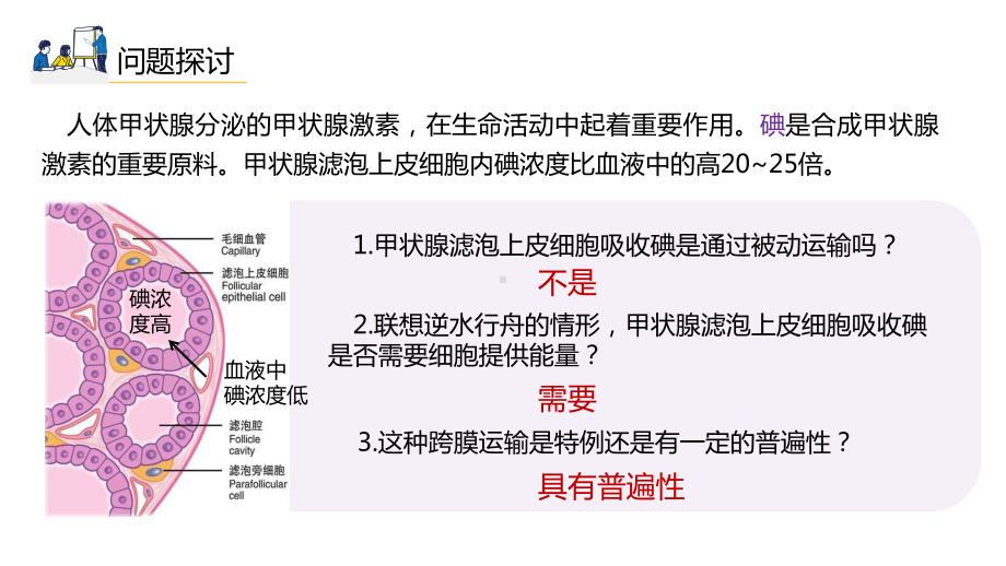 4.2主动运输与胞吞、胞吐 ppt课件-2023新人教版（2019）《高中生物》必修第一册.pptx_第3页