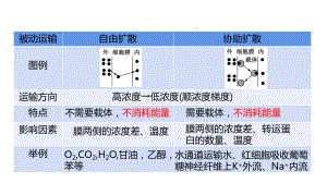 4.2主动运输与胞吞、胞吐 ppt课件-2023新人教版（2019）《高中生物》必修第一册.pptx