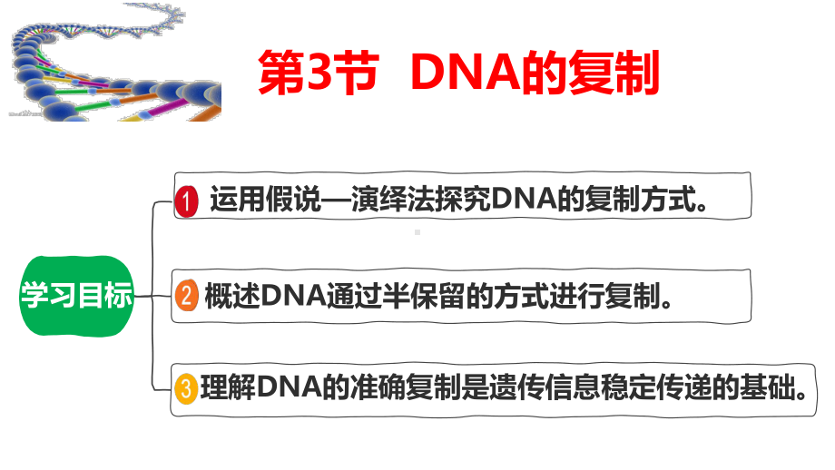 3.3 DNA的复制ppt课件-2023新人教版（2019）《高中生物》必修第二册.pptx_第2页