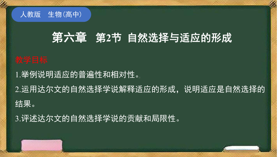 6.2 自然选择与适应的形成 ppt课件-2023新人教版（2019）《高中生物》必修第二册.pptx_第1页