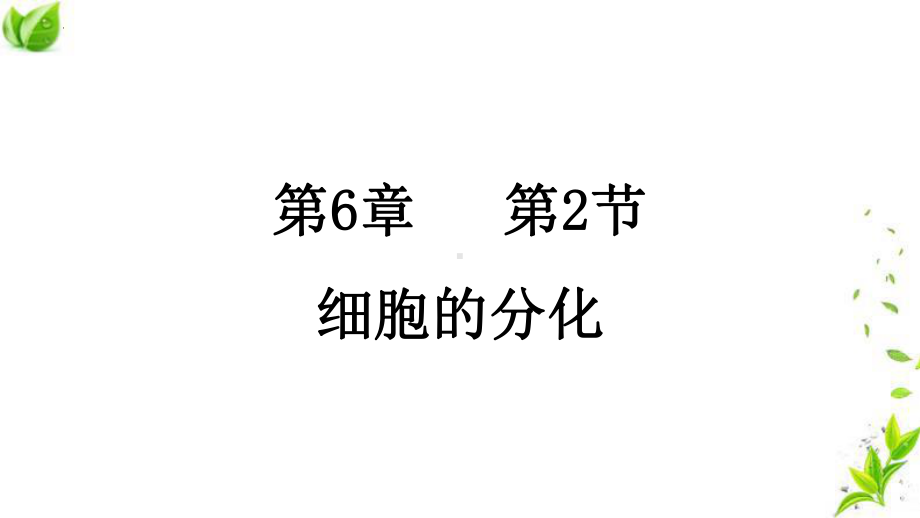 6.2细胞的分化 ppt课件--2023新人教版（2019）《高中生物》必修第一册.pptx_第2页